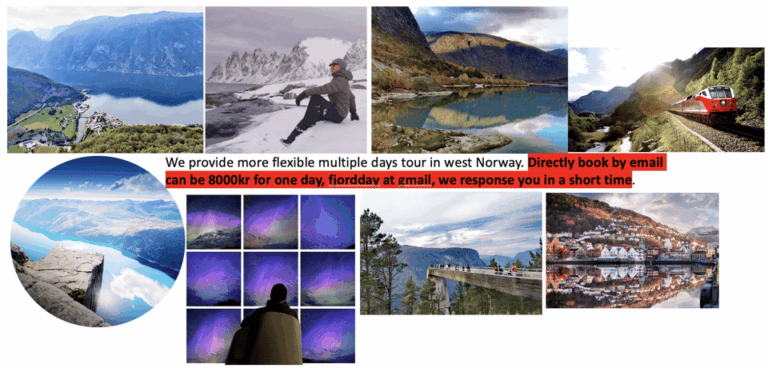 Flåm Flexible Tour with Stegastein, cruise and train include