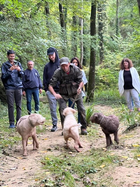 Florence: Truffle Hunt, San Gimignano, and Chianti Day Trip - Is This Tour Worth It?