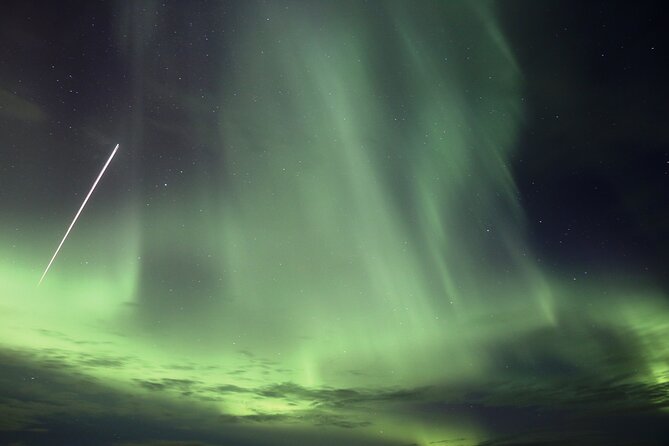Forest Lagoon and Northern Lights Guided Night Tour - Introduction