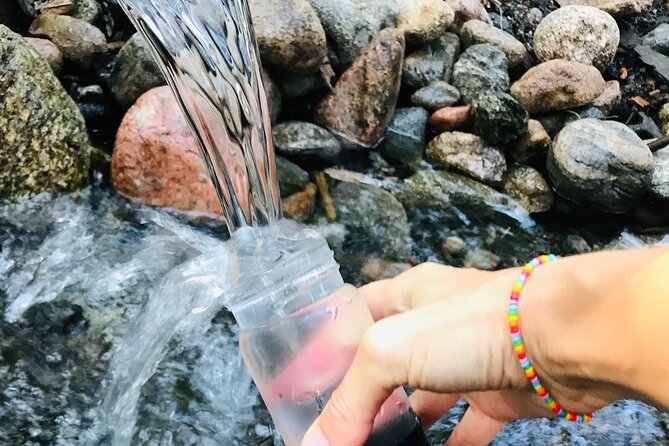 Forestbathing Slow Walking and Healing Spring Water, Stockholm - Good To Know