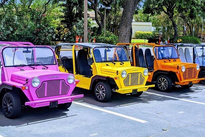 Fort Lauderdale Moke City Tour - Good To Know