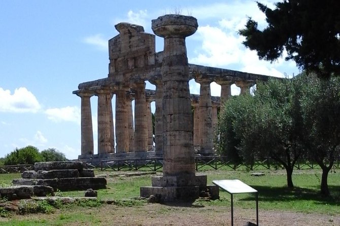 From Castellabate Paestum Temples Bufala Mozzarella wine tasting - Exploring Salerno’s Hidden Gems: A Complete Review of the Paestum Temples, Mozzarella, and Wine Tasting Tour