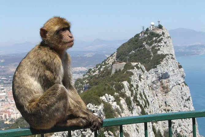 From Costa del Sol: The Gibraltar classic Rock tour