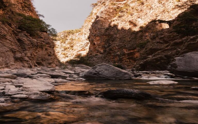 From Georgioupolis: Samaria Gorge one Day Hike with Guide