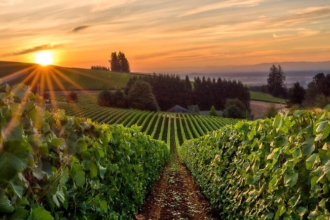 From Portland Private Willamette Valley Wine Tour - Introduction