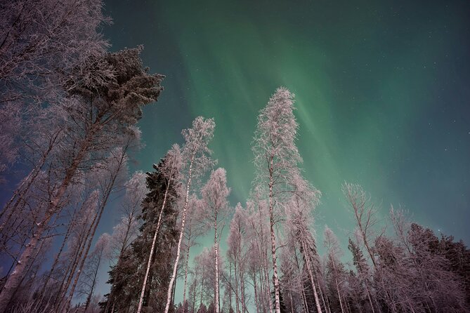 From Rovaniemi: Northern Lights Tour with Campfire Snacks - Good To Know