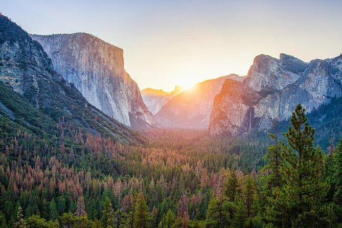 From San Jose-Private Full Day Yosemite National Park Tour - Exploring the San Jose to Yosemite Private Full-Day Tour: An Honest Look