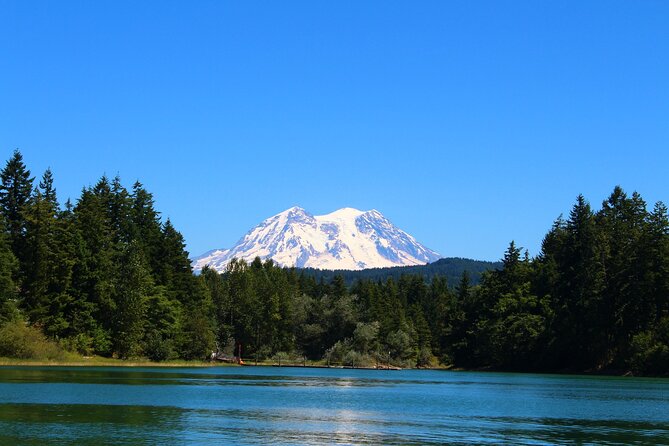 From Seattle:Hiking in Mount Rainier Private Tour - Exploring the Mount Rainier Private Hiking Tour from Seattle: An Authentic Encounter with Nature