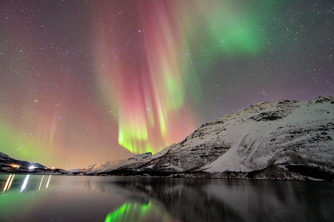 From Tromsø: OFFICIAL Northern Lights Safari by Minibus - Good To Know