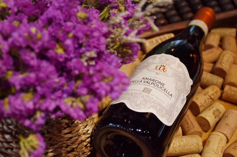 From Venice: day trip to Amarone and Prosecco wine regions