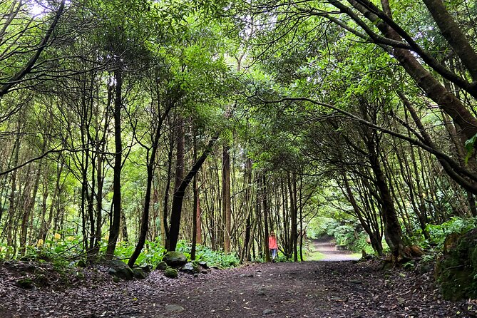 Full Day Hiking Trail Janela do Inferno + Caldeira Velha - Good To Know