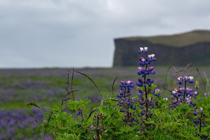 Full-Day Private Tour to Explore South Coast of Iceland - Good To Know
