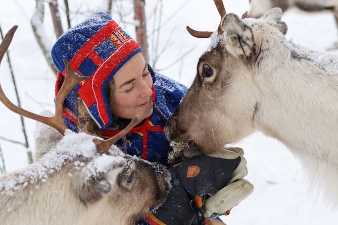 Full-Day Reindeer Tour with Pickup in Kiruna - Good To Know