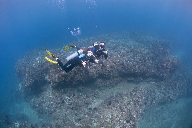 Full Day Scuba Dive Off The Na Pali Coast, Kauai-Mana Crack - The Sum Up