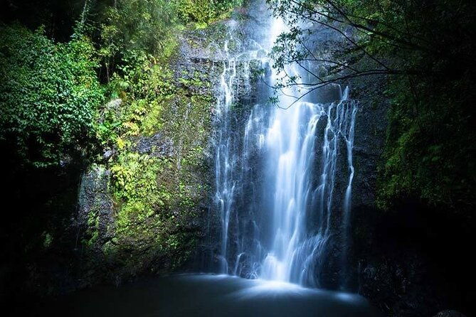 Full Day Small Group Tour of Maui Waterfall, Beach and Hana - Final Thoughts