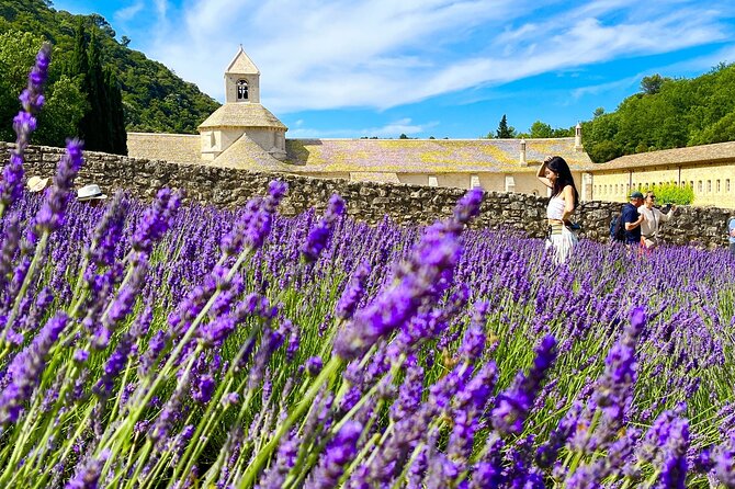 Full Day Tour in the Lavenders of Valensole or Sault - Discovering the Lavender of Provence: A Full Day Tour in Valensole or Sault