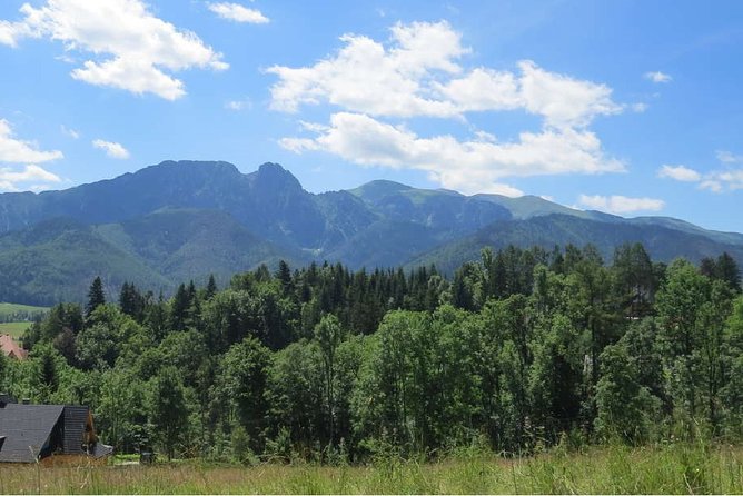 Full-Day Zakopane and Slovakia Treetop Walk From Krakow - What You Can Expect on the Tour