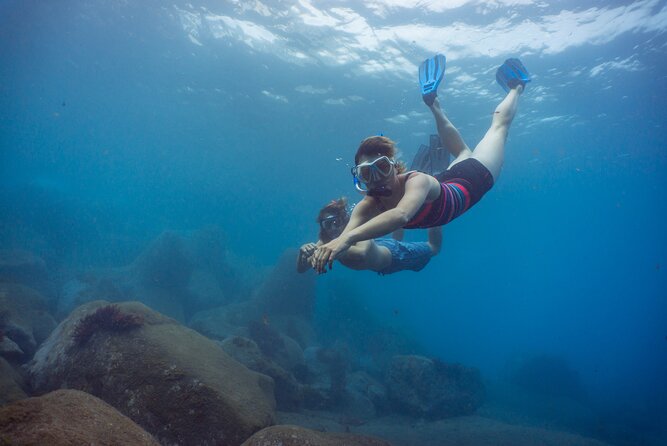 Funchal: Snorkeling Adventure in Eco-Park / Shore or by Boat - Funchal: Snorkeling Adventure in Eco-Park / Shore or by Boat