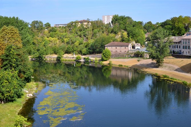 Gaillac Wine Half Day Tour from Toulouse - Introduction: A Tasty Break from the City