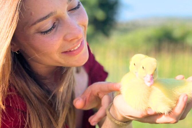 Gallura Picnic in the Farm with Animals - Good To Know