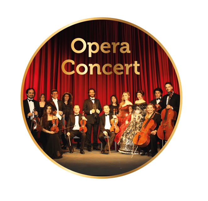 Gdansk: Vienna Opera Gala - Exploring the Gdansk: Vienna Opera Gala in Depth