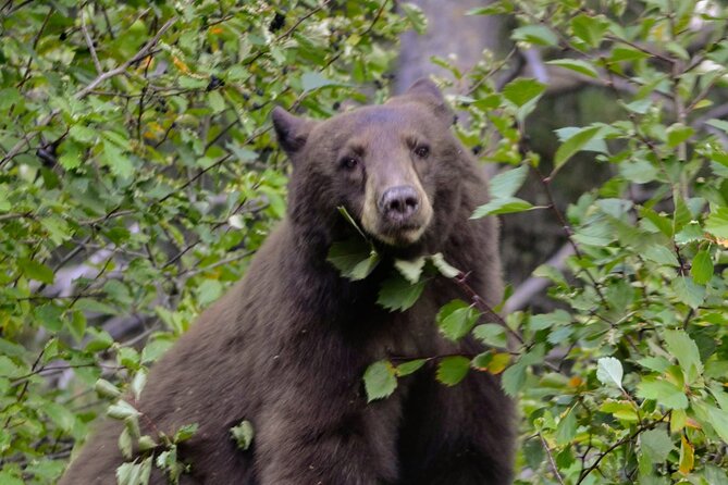 Grand Teton National Park Private Full Day Tour - Good To Know