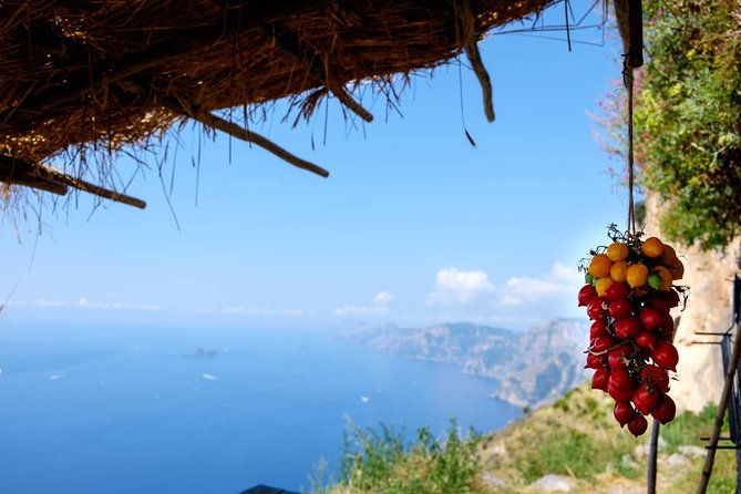 Guided Day Hike on the Path of the Gods with Sorrento Transfer - Good To Know