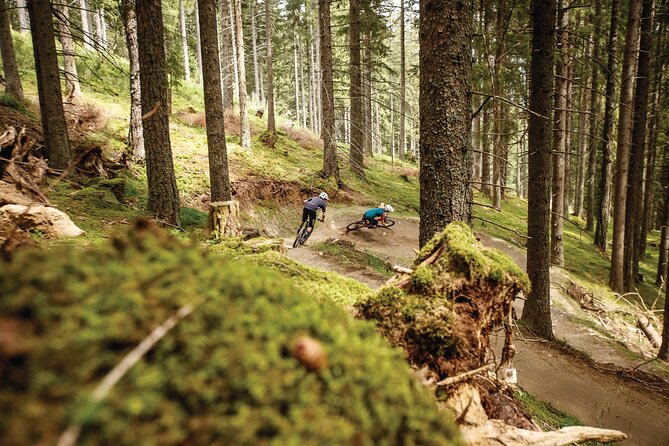 Guided downhill biking at Bikepark Innsbruck - Good To Know