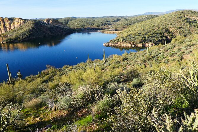 Guided Hike: Saguaro Lake View - Exploring the Guided Hike: Saguaro Lake View