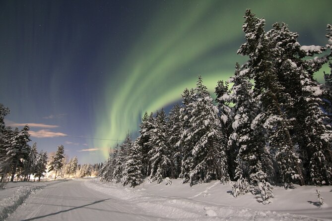 Guided Northern Lights Tour at Kiruna - What You Can Expect From the Tour