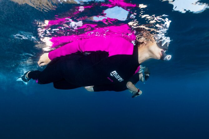 Guided snorkeling in the Portofino Marine Protected Area - Good To Know
