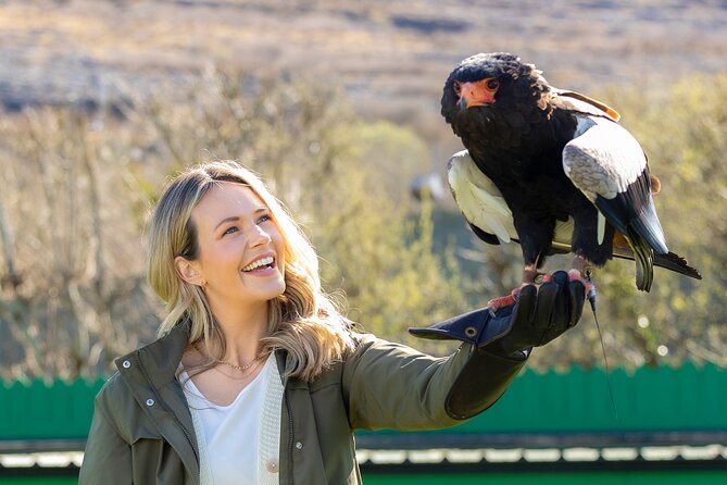 Guided Tour of Aillwee Cave and Visit to the Birds of Prey Centre - Authentic Irish Adventure: A Guided Tour of Aillwee Cave and Birds of Prey Centre