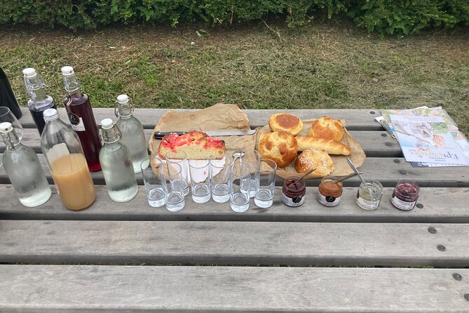 Guided Tour of the Coteaux Côte Rôtie for Parents and Children Duos - Good To Know