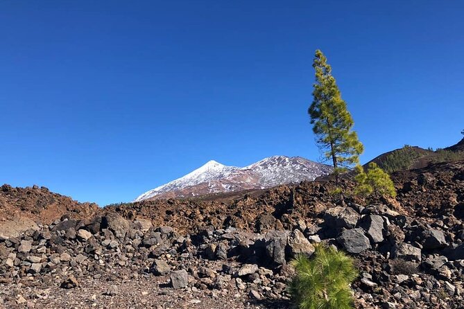 Guided Tour to Teide National Park in Tenerife - Exploring Teide National Park: A Guided Tour in Tenerife