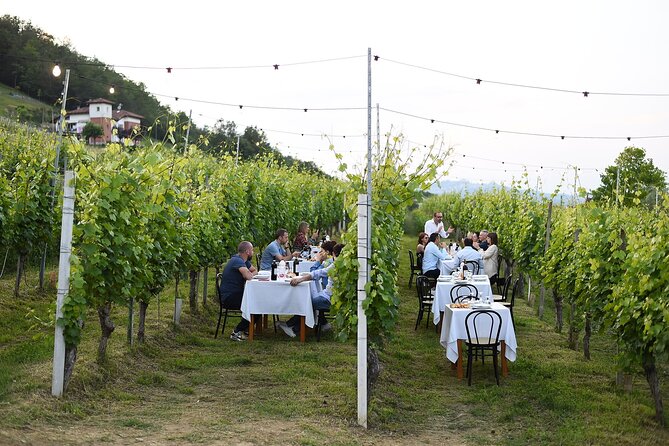 Guided Walk and Lunch in the Vineyard in Alba - Good To Know