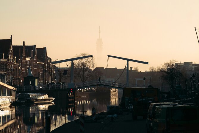 Haarlem Private Day Trip from Amsterdam with Local - Why Choose a Private Day Trip to Haarlem?