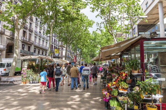 Half Day Barcelona Private Walking Tour - Good To Know