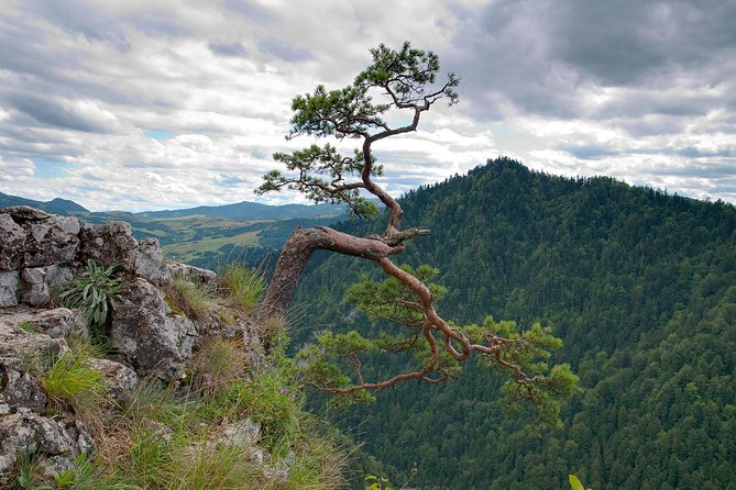 Half-Day Dunajec River Rafting tour from Krakow - Good To Know