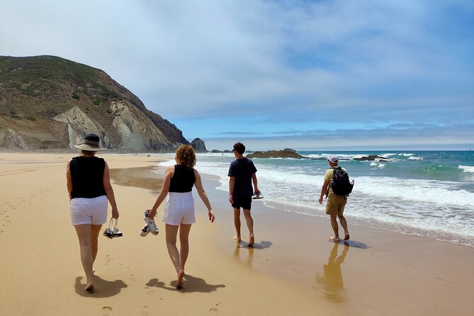 Half Day Nature Walk and Picnic at West Coast Algarve - Exploring the West Coast Algarve: A Detailed Look at the Half Day Nature Walk and Picnic
