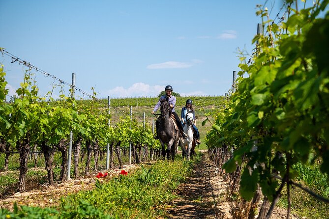 Half-Day of Horseback Adventure with Wine Tasting - Good To Know