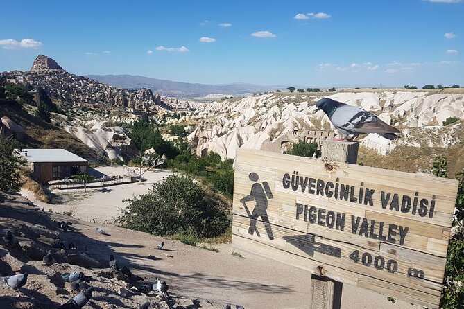 Half Day Private Underground City Tour - Good To Know