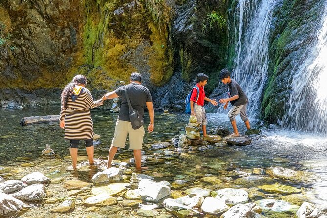 Half Day Tour to Faery Waterfalls, Castle Lake and Mount Shasta - Good To Know