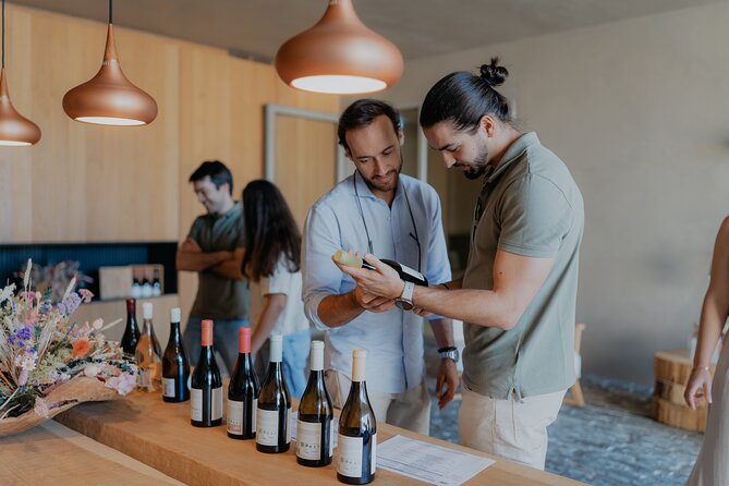 Half Day Wine Tour Around Evora - Good To Know