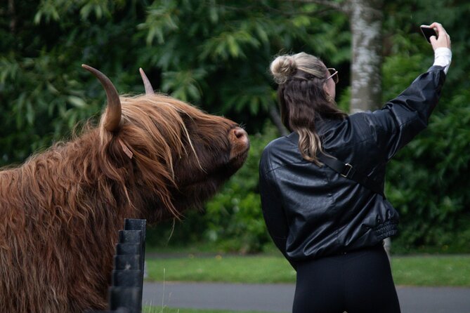 Highlands Cows Glencoe and Castles Private Tour from Edinburgh - Good To Know: