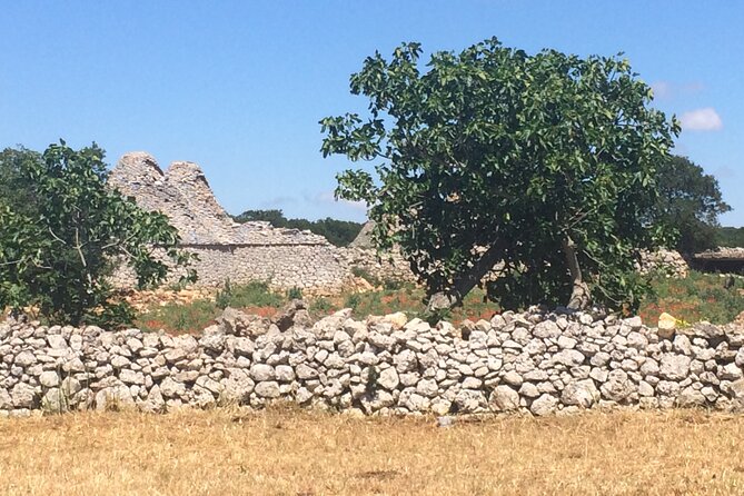 Highlights of Puglia: Bari, Alberobello and the charming villages - Good To Know
