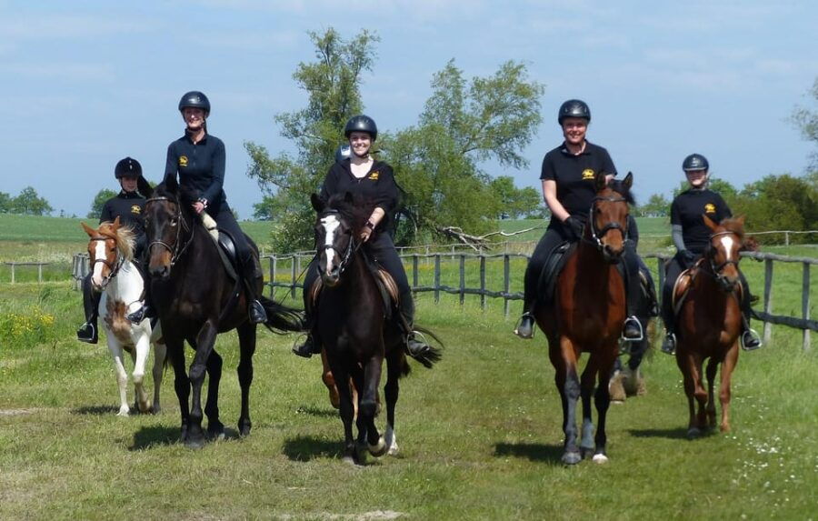 Hirschburg: Horseback riding for beginners - An Overview of the Experience