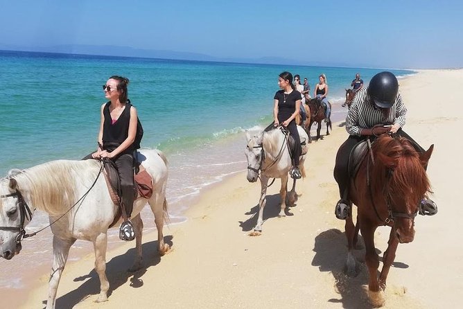 Horse Riding on the Beach Tour - Good To Know