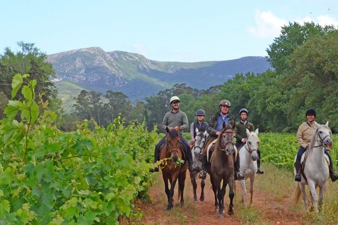 Horseback Riding, 4 Options-Mountain, Lesson Ring, Beach (2Hours) - Good To Know  