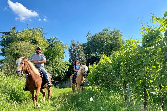 Horseback Riding with Wine and Food Tasting in Lazise Countryside - Good To Know
