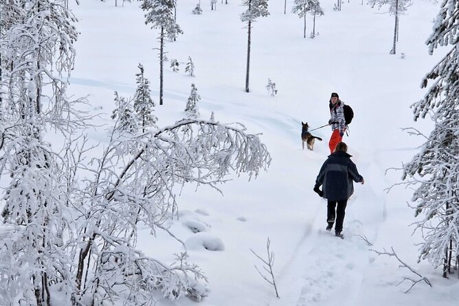 Husky Hike, Snowshoe hike with huskies - What the Tour Includes and Its Value